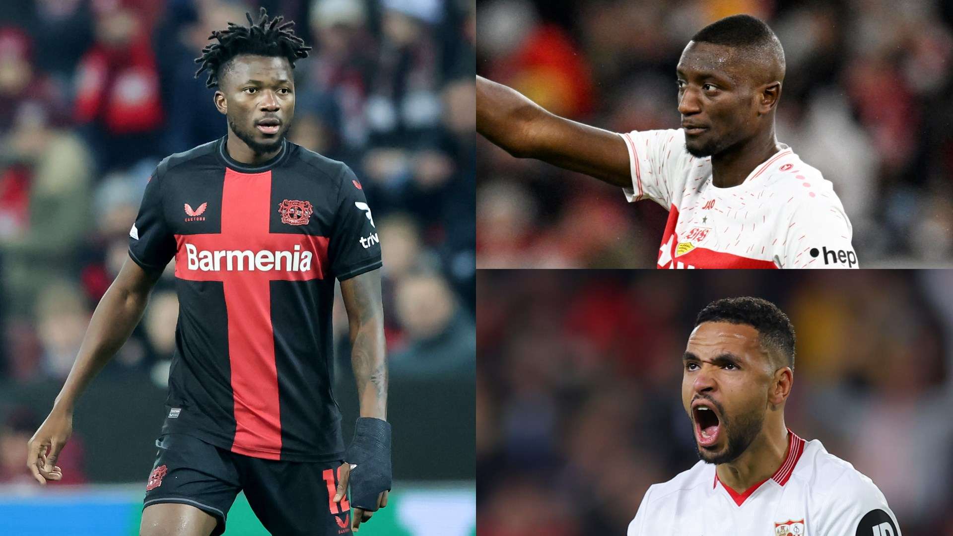 粉丝的祝福 粉丝的祝福